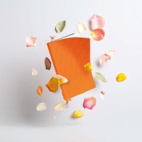 İstinye-K Tarihsiz Defter